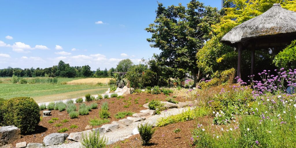 Körpertherapie im Seminargarten | Schutterwald bei Offenburg